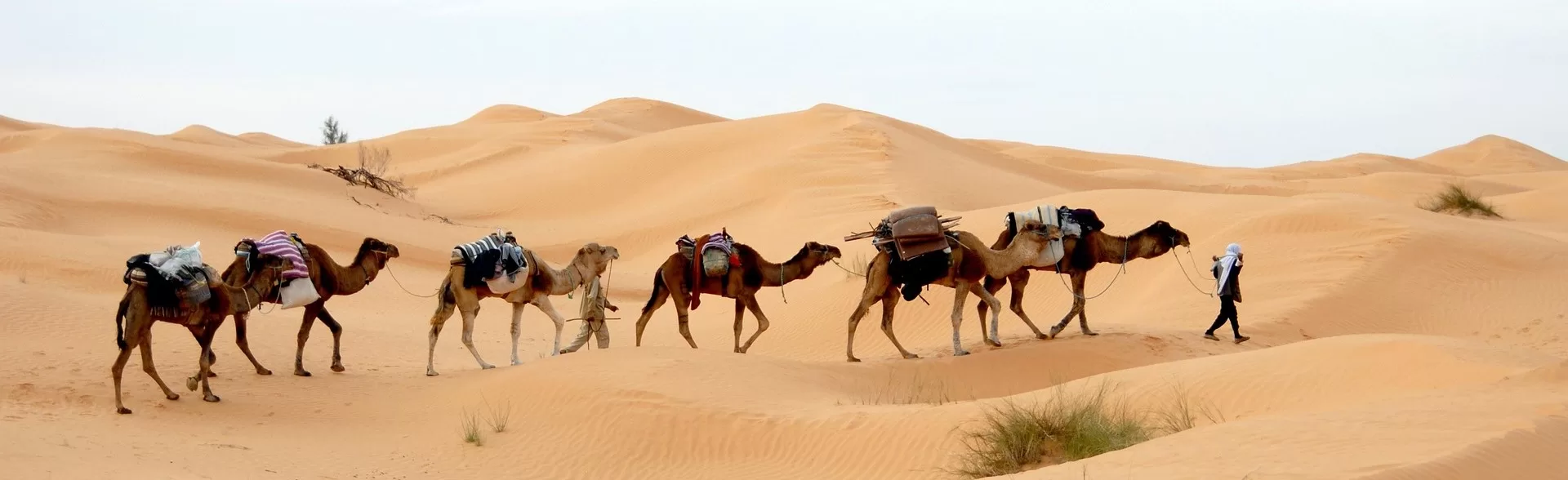 Explore sacred sites and embark on personal growth on this Tunisia Spiritual Tour with Amy Pattee Colvin