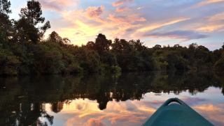 This Cambodia spiritual tour incorporates time in nature as part of the spiritual experience. 